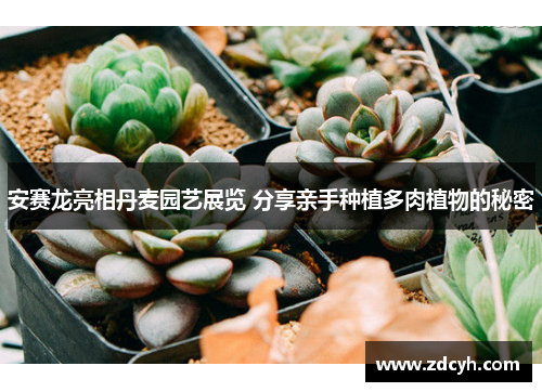 安赛龙亮相丹麦园艺展览 分享亲手种植多肉植物的秘密