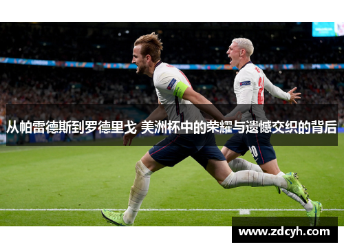从帕雷德斯到罗德里戈 美洲杯中的荣耀与遗憾交织的背后