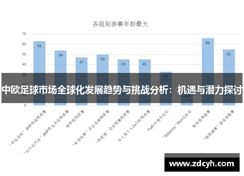 中欧足球市场全球化发展趋势与挑战分析：机遇与潜力探讨