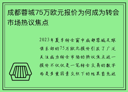 成都蓉城75万欧元报价为何成为转会市场热议焦点