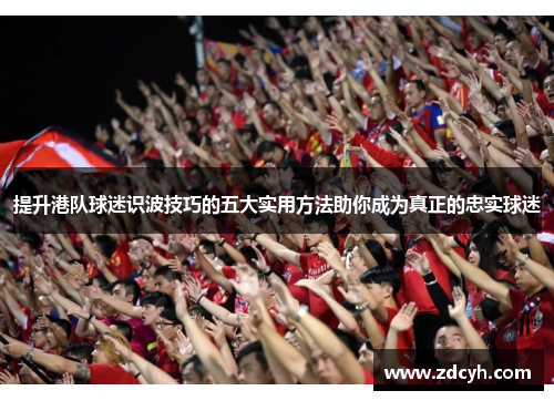 提升港队球迷识波技巧的五大实用方法助你成为真正的忠实球迷