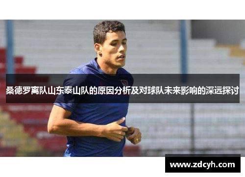 桑德罗离队山东泰山队的原因分析及对球队未来影响的深远探讨