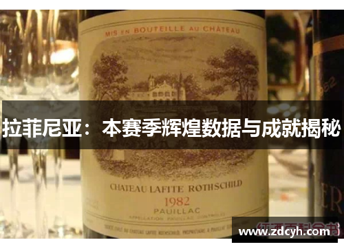 拉菲尼亚：本赛季辉煌数据与成就揭秘