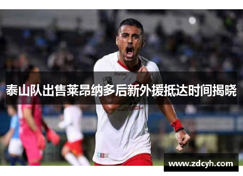 泰山队出售莱昂纳多后新外援抵达时间揭晓
