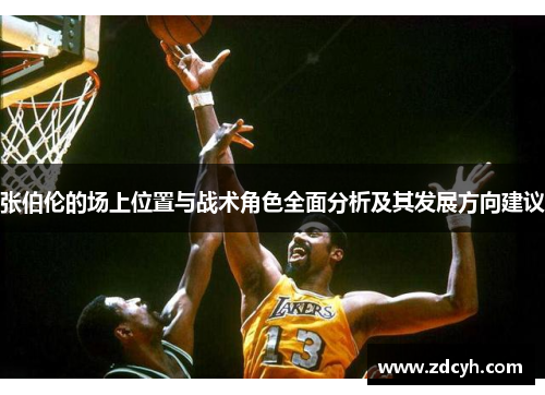 张伯伦的场上位置与战术角色全面分析及其发展方向建议