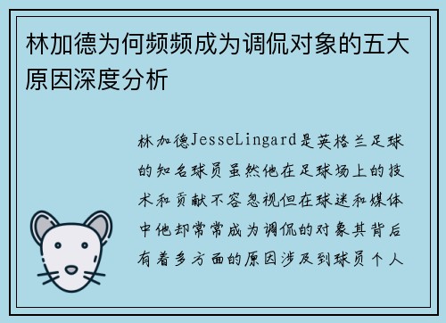 林加德为何频频成为调侃对象的五大原因深度分析