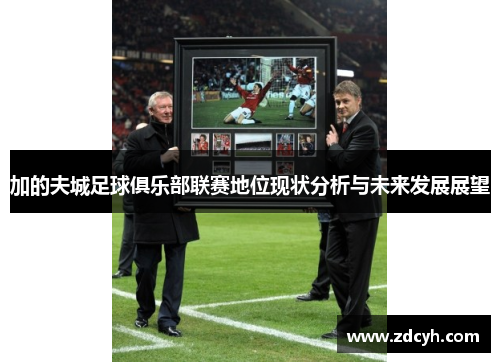 加的夫城足球俱乐部联赛地位现状分析与未来发展展望 加的夫城足球俱乐部联赛地位现状分析与未来发展展望